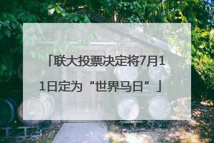 联大投票决定将7月11日定为“世界马日”